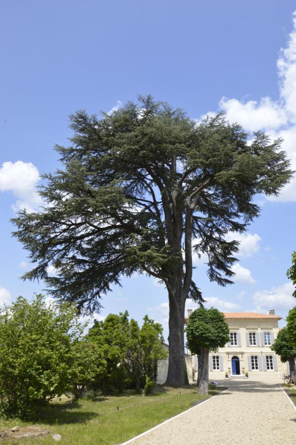 מלון Saint-Christophe-des-Bardes Chateau Nardon Crimon מראה חיצוני תמונה